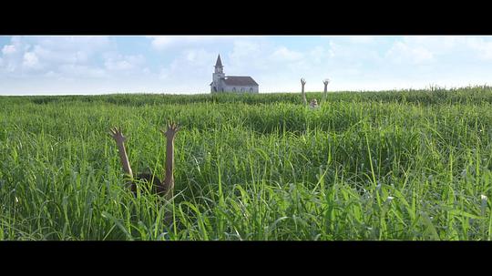 电影《高草丛中  In the Tall Grass》（2019加拿大 / 美国）--高清4K/1080P迅雷BT资源下载