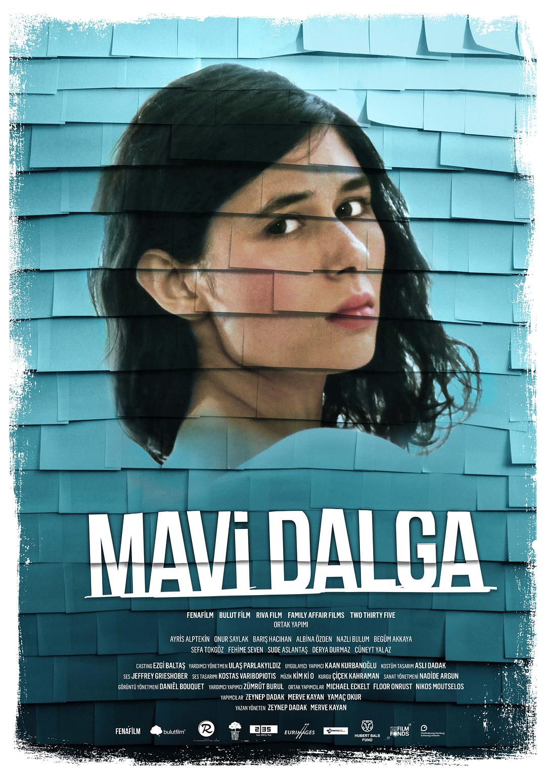 电影《Mavi Dalga》（2013土耳其 / 德国 / 荷兰 / 希腊）--高清4K/1080P迅雷BT资源下载