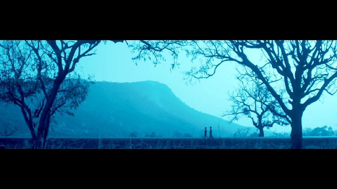 电影《青鸟  Blue Bird》（2011比利时）--高清4K/1080P迅雷BT资源下载