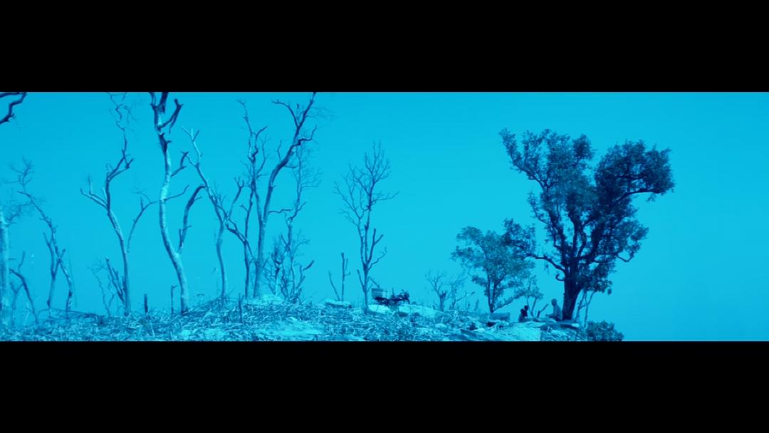 电影《青鸟  Blue Bird》（2011比利时）--高清4K/1080P迅雷BT资源下载