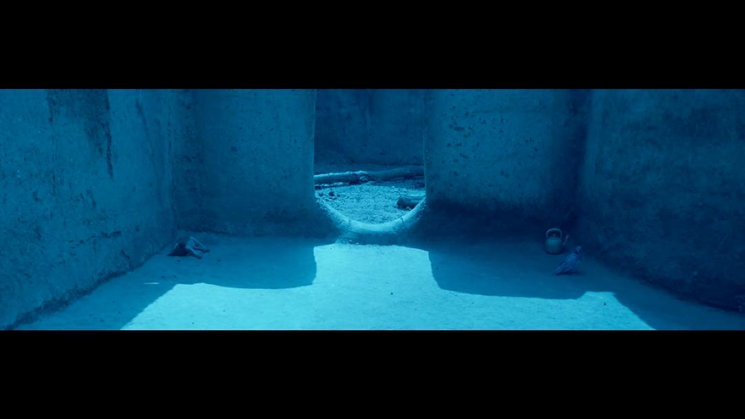 电影《青鸟  Blue Bird》（2011比利时）--高清4K/1080P迅雷BT资源下载