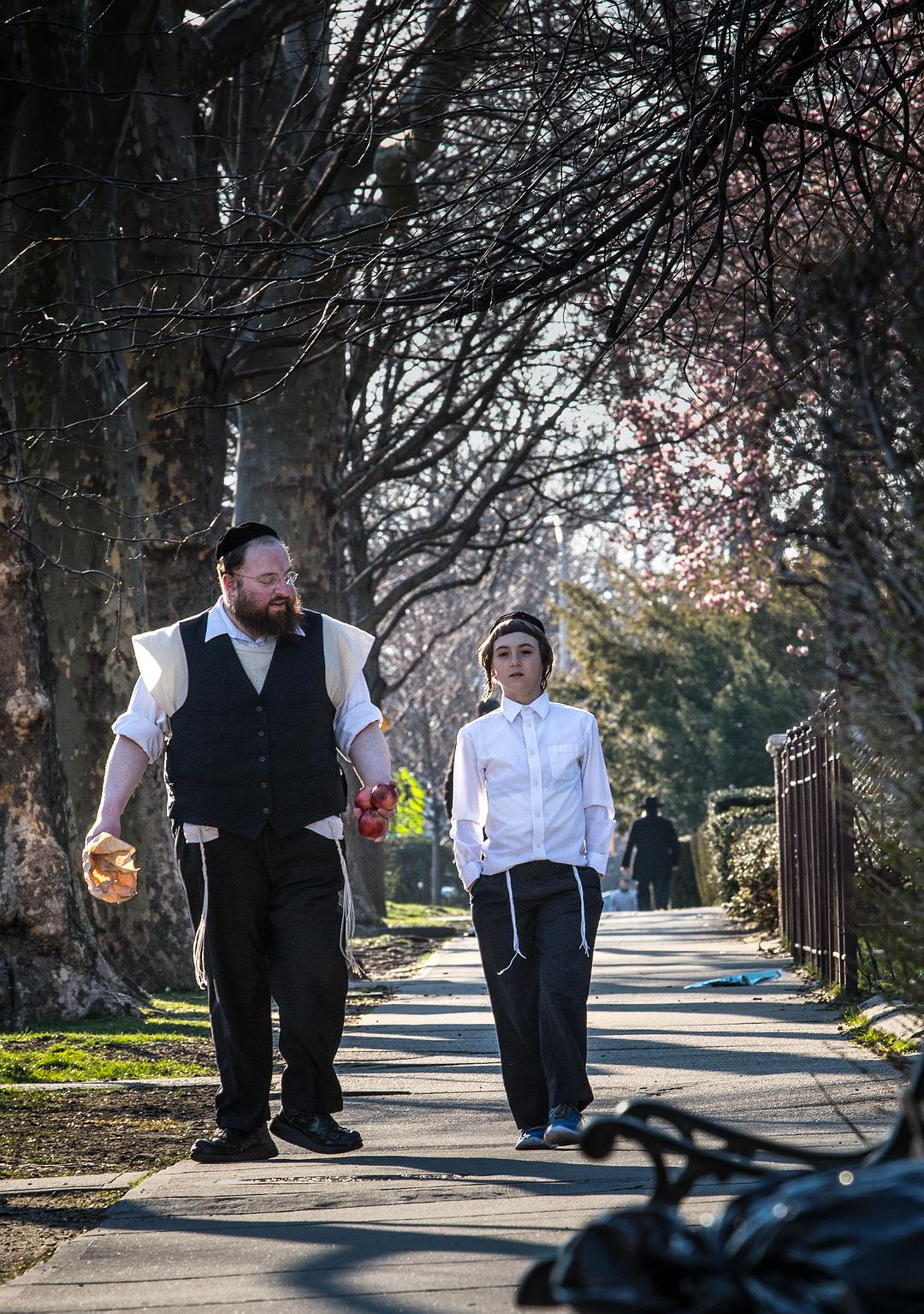 电影《梅纳什  Menashe》（2017美国 / 以色列）--高清4K/1080P迅雷BT资源下载