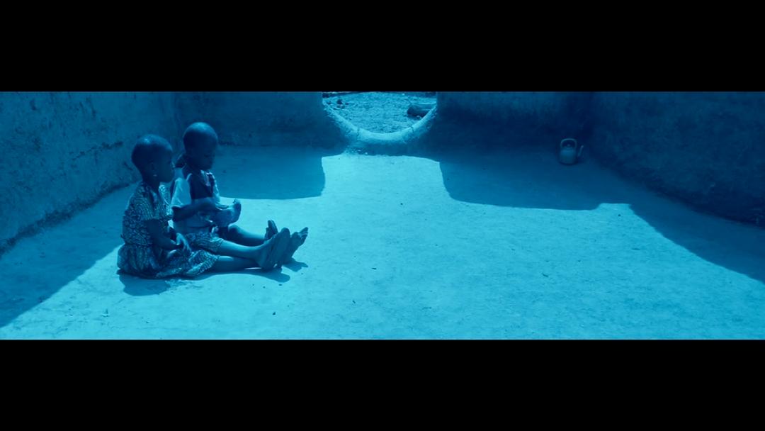 电影《青鸟  Blue Bird》（2011比利时）--高清4K/1080P迅雷BT资源下载
