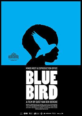 电影《青鸟  Blue Bird》（2011比利时）--高清4K/1080P迅雷BT资源下载
