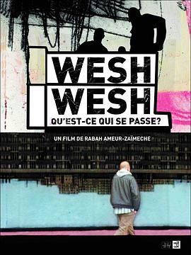 电影《圣但尼怎么了？  Wesh wesh, qu'est-ce qui se passe?》（2001法国）--高清4K/1080P迅雷BT资源下载