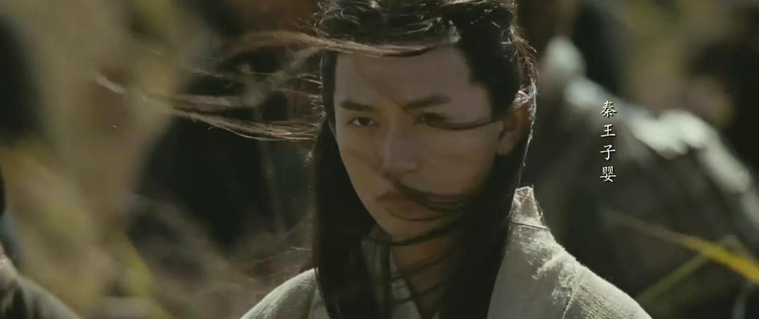 纪录片《王的盛宴》（2012中国大陆）--高清4K/1080P迅雷BT资源下载