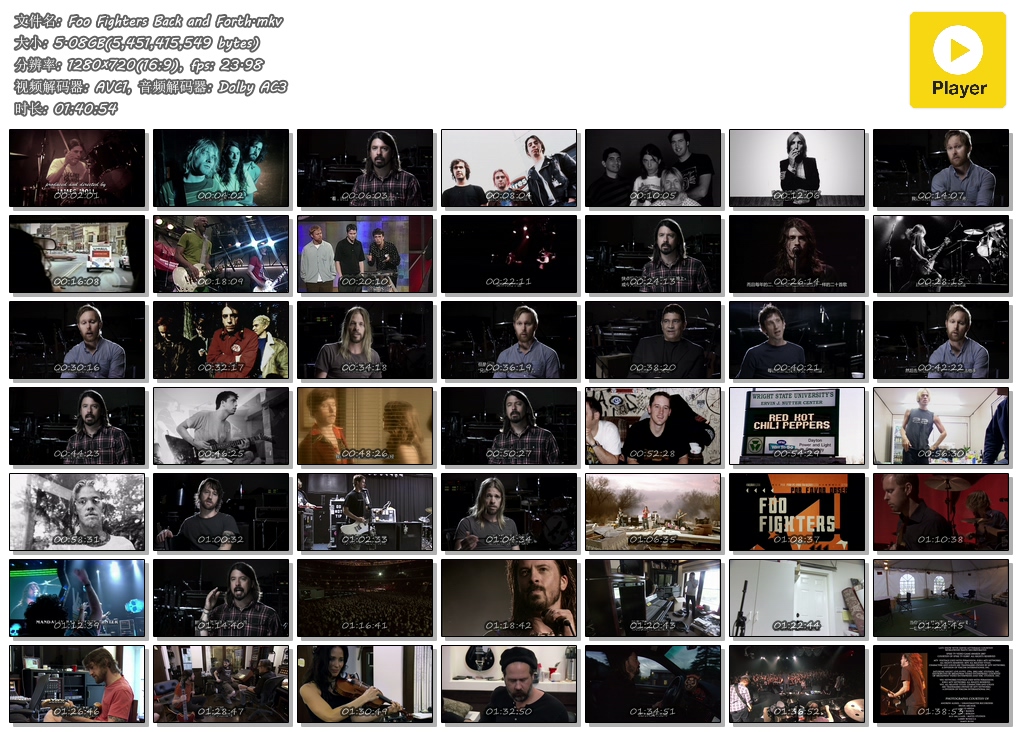 纪录片《喷火战机：来回  Foo Fighters Back and Forth》（2011美国）--高清4K/1080P迅雷BT资源下载