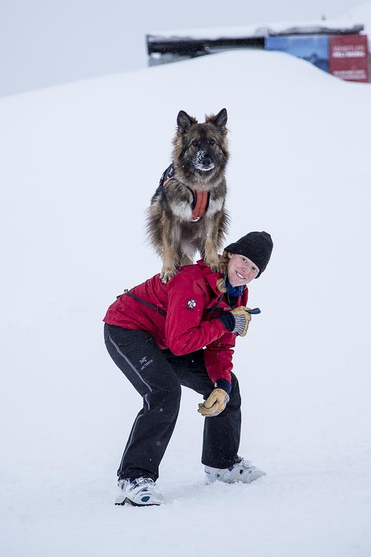 纪录片《超级救援狗  Superpower Dogs》（2019英国）--高清4K/1080P迅雷BT资源下载