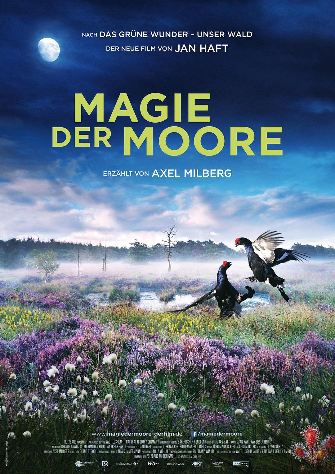 纪录片《Magie der Moore》（2015德国）--高清4K/1080P迅雷BT资源下载