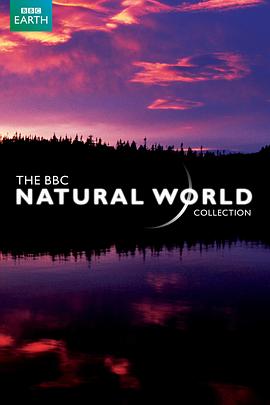 纪录片《BBC 自然世界 2010 神秘的豹  BBC.Natural.World.2010.The.Secret.Leopards》（2010英国）--高清4K/1080P迅雷BT资源下载