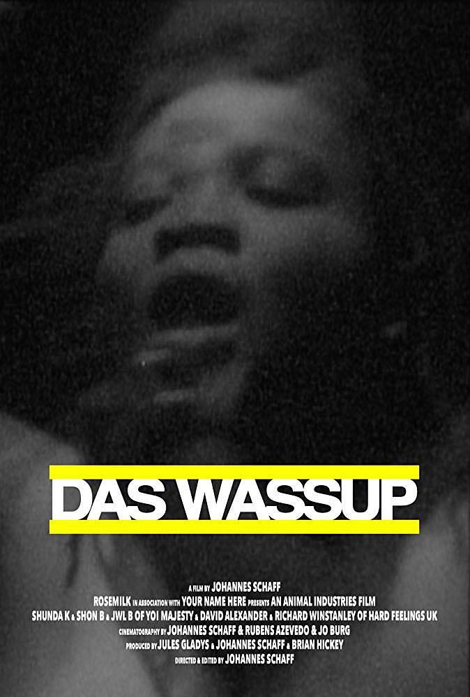 纪录片《Das Wassup》（2017英国 / 美国 / 法国 / 德国）--高清4K/1080P迅雷BT资源下载