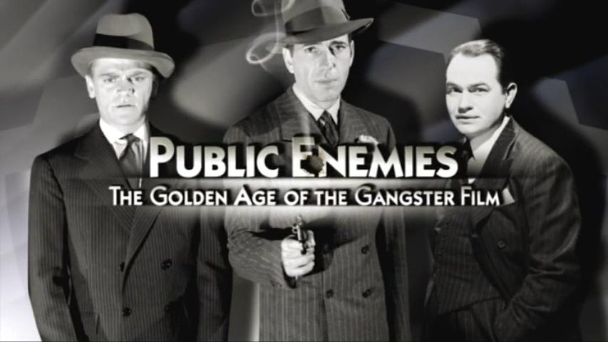 纪录片《公众之敌：黑帮电影的黄金时代  Public Enemies: The Golden Age of the Gangster Film》（2008美国）--高清4K/1080P迅雷BT资源下载