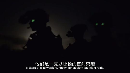 纪录片《海豹突击队：美国秘密战士  Navy Seals: America's Secret Warriors》（2017美国）--高清4K/1080P迅雷BT资源下载