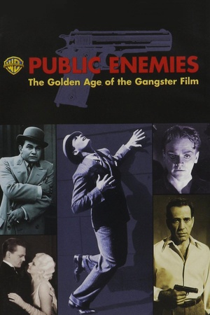 纪录片《公众之敌：黑帮电影的黄金时代  Public Enemies: The Golden Age of the Gangster Film》（2008美国）--高清4K/1080P迅雷BT资源下载