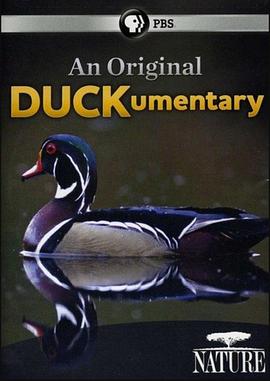 纪录片《鸭鸭世界  An Original DUCKumentary》（2012美国）--高清4K/1080P迅雷BT资源下载