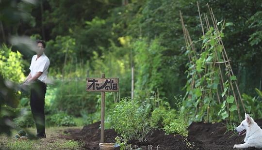 电视剧《天狗的厨房  天狗の台所》（2023日本）--高清4K/1080P迅雷BT资源下载