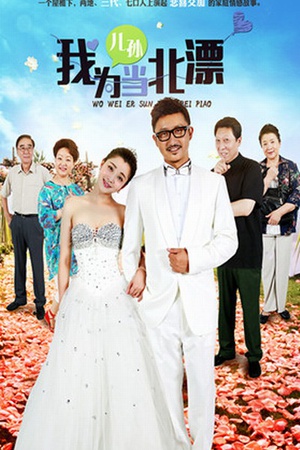 电视剧《我为儿孙当北漂》（2015中国大陆）--高清4K/1080P迅雷BT资源下载