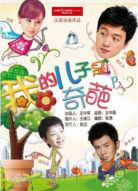 电视剧《我的儿子是奇葩》（2014中国大陆）--高清4K/1080P迅雷BT资源下载