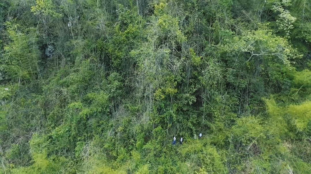 电视剧《稻米之路》（2019中国大陆）--高清4K/1080P迅雷BT资源下载