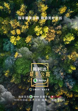 电视剧《最美公路》（2018中国大陆）--高清4K/1080P迅雷BT资源下载