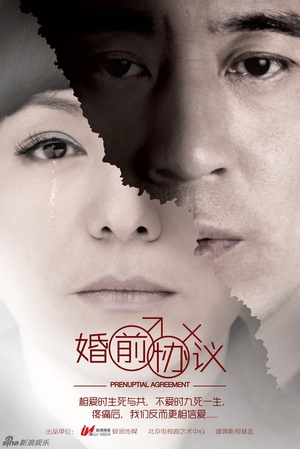 电视剧《婚前协议》（2013中国大陆）--高清4K/1080P迅雷BT资源下载