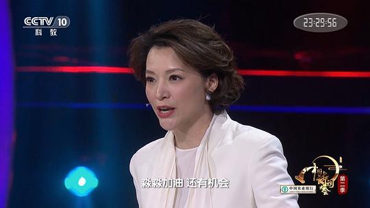 电视剧《中国诗词大会 第二季》（2017中国大陆）--高清4K/1080P迅雷BT资源下载