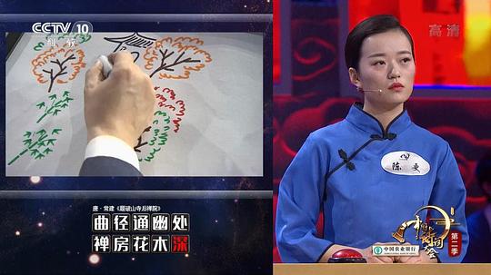 电视剧《中国诗词大会 第二季》（2017中国大陆）--高清4K/1080P迅雷BT资源下载