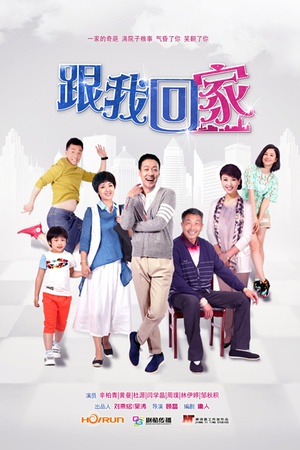电视剧《跟我回家》（2014中国大陆）--高清4K/1080P迅雷BT资源下载