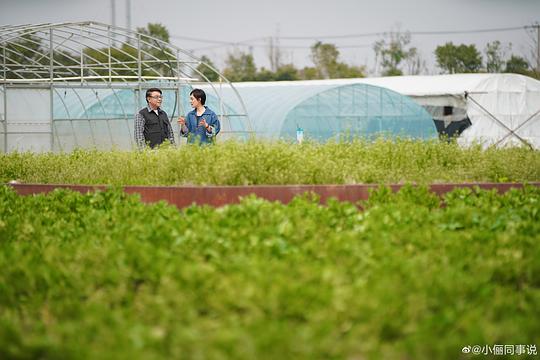 电视综艺《众声》（2023中国大陆）--高清4K/1080P迅雷BT资源下载