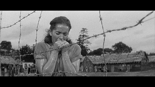 电影《血岛扎营  The Camp on Blood Island》（1958英国）--高清4K/1080P迅雷BT资源下载