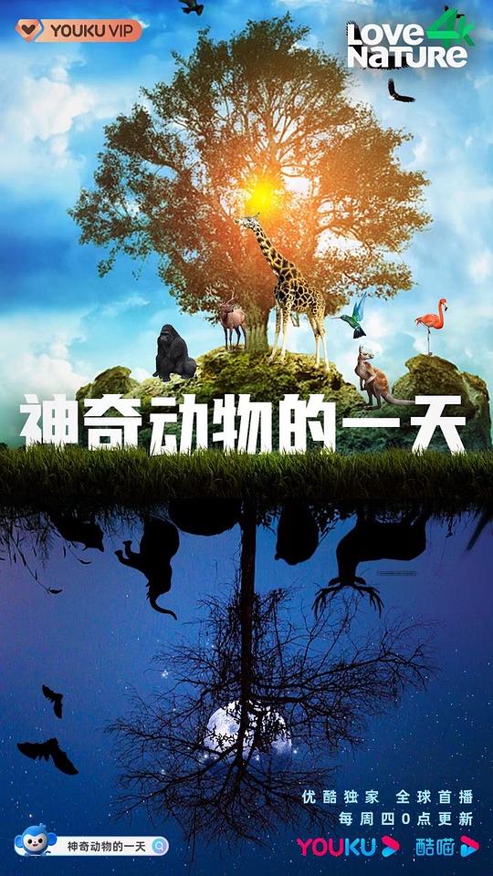 电视剧《神奇动物的一天 第一季  Dawn to dusk》（2020加拿大）--高清4K/1080P迅雷BT资源下载