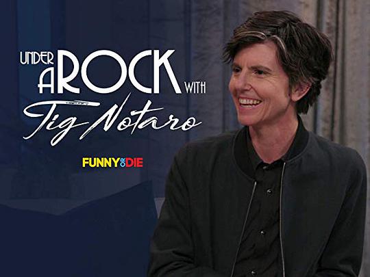 电视剧《Under a Rock With Tig Notaro Season 1》（2019美国）--高清4K/1080P迅雷BT资源下载