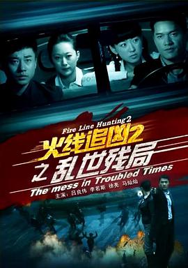 电影《火线追凶2之乱世残局》（2013中国大陆）--高清4K/1080P迅雷BT资源下载