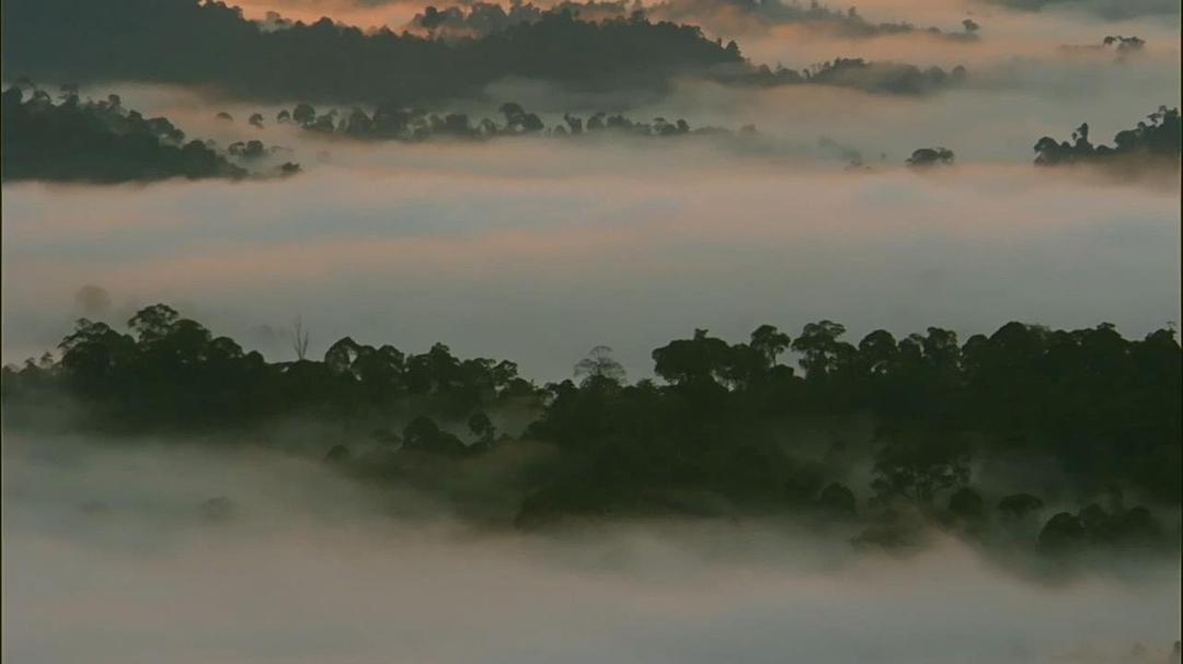 电视剧《奇迹之地 第一季  Earth's Natural Wonders》（2015英国）--高清4K/1080P迅雷BT资源下载