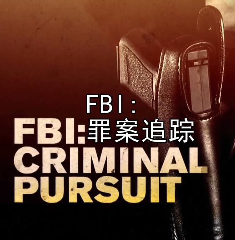 电视剧《FBI：罪案追踪 第一季  FBI: Criminal Pursuit》（2011美国）--高清4K/1080P迅雷BT资源下载