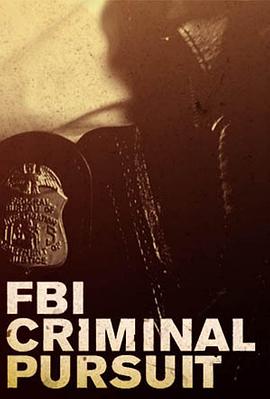 电视剧《FBI：罪案追踪 第一季  FBI: Criminal Pursuit》（2011美国）--高清4K/1080P迅雷BT资源下载