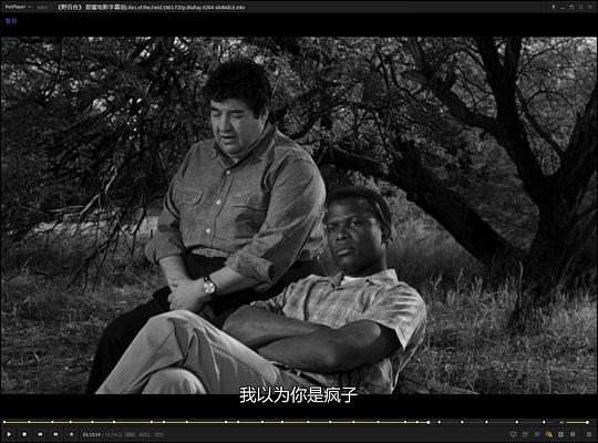 电影《野百合  Lilies of the Field》（1963美国）--高清4K/1080P迅雷BT资源下载