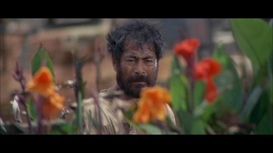 电影《决斗太平洋  Hell in the Pacific》（1968美国）--高清4K/1080P迅雷BT资源下载