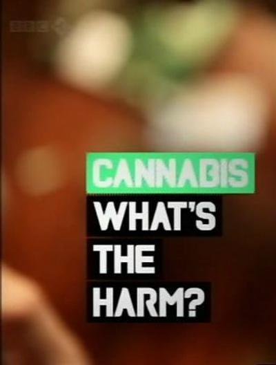 电视剧《大麻 何害之有  Cannabis: What's the Harm?》（2010英国）--高清4K/1080P迅雷BT资源下载