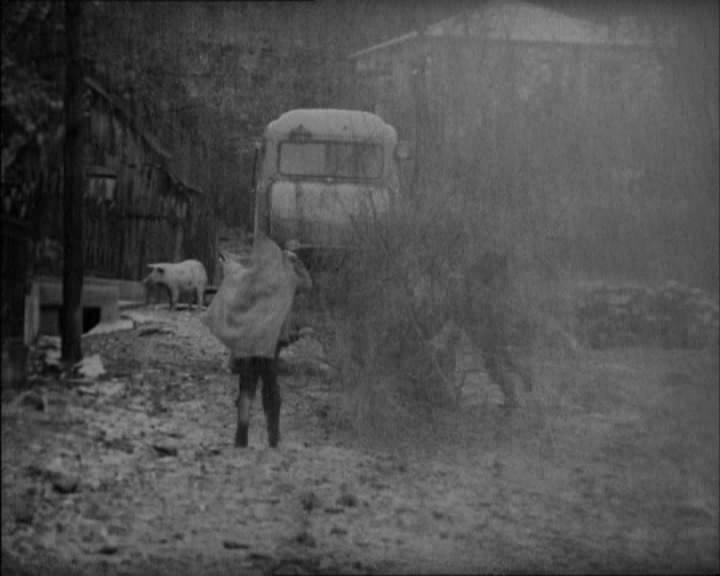 电影《田园牧歌  პასტორალი》（1975苏联）--高清4K/1080P迅雷BT资源下载
