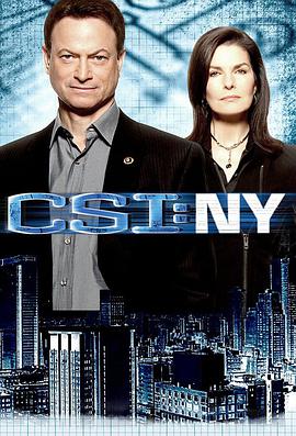 电视剧《犯罪现场调查：纽约 第七季  CSI: NY》（2010美国 / 加拿大）--高清4K/1080P迅雷BT资源下载