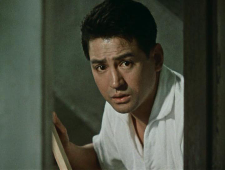 电影《我两岁  私は二歳》（1962日本）--高清4K/1080P迅雷BT资源下载