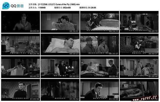 电影《变蝇人的诅咒  Curse of the Fly》（1965英国）--高清4K/1080P迅雷BT资源下载