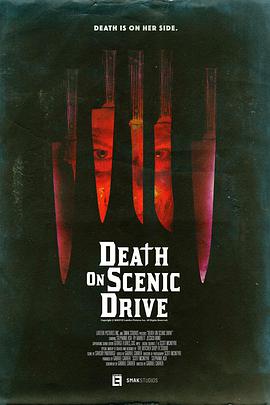 电影《亡命旅途  Death On Scenic Drive》（2017美国）--高清4K/1080P迅雷BT资源下载