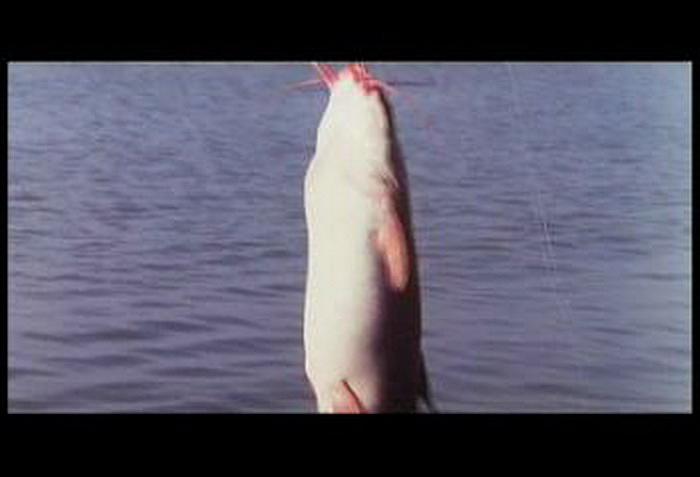 电影《逆我者死》（1999中国香港）--高清4K/1080P迅雷BT资源下载