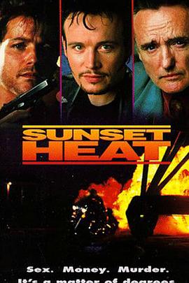 电影《艳阳燃情  Sunset Heat》（1992美国）--高清4K/1080P迅雷BT资源下载