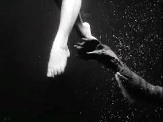 电影《黑湖妖潭 Creature from the Black Lagoon》(1954美国)--高清4K/1080P迅雷BT资源下载 电影《黑湖妖潭 Creature from the Black Lagoon》(1954美国)--高清4K/1080P迅雷BT资源下载