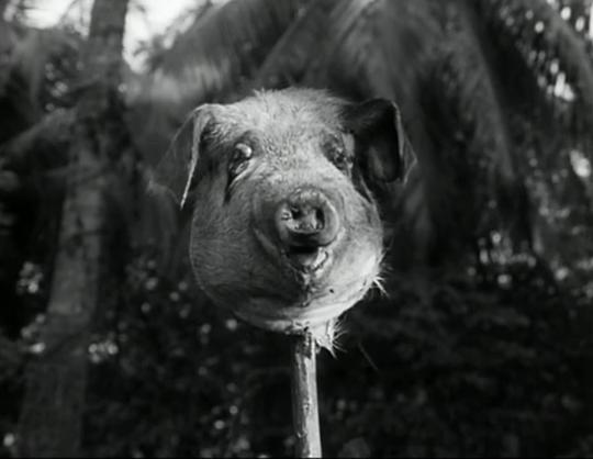 电影《蝇王  Lord of the Flies》（1963英国）--高清4K/1080P迅雷BT资源下载