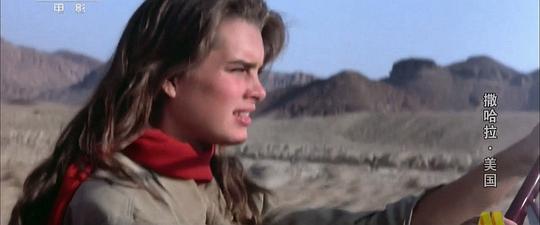 电影《撒哈拉  Sahara》（1983英国 / 美国）--高清4K/1080P迅雷BT资源下载