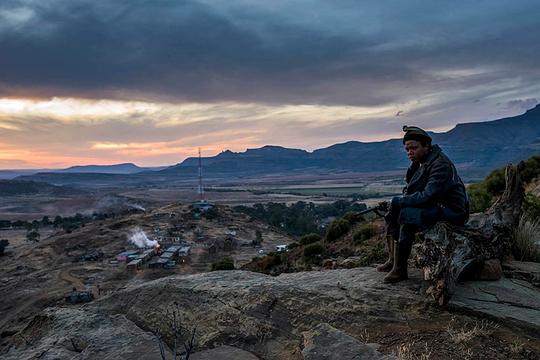 电影《马赛行动  Five Fingers for Marseilles》（2017南非）--高清4K/1080P迅雷BT资源下载